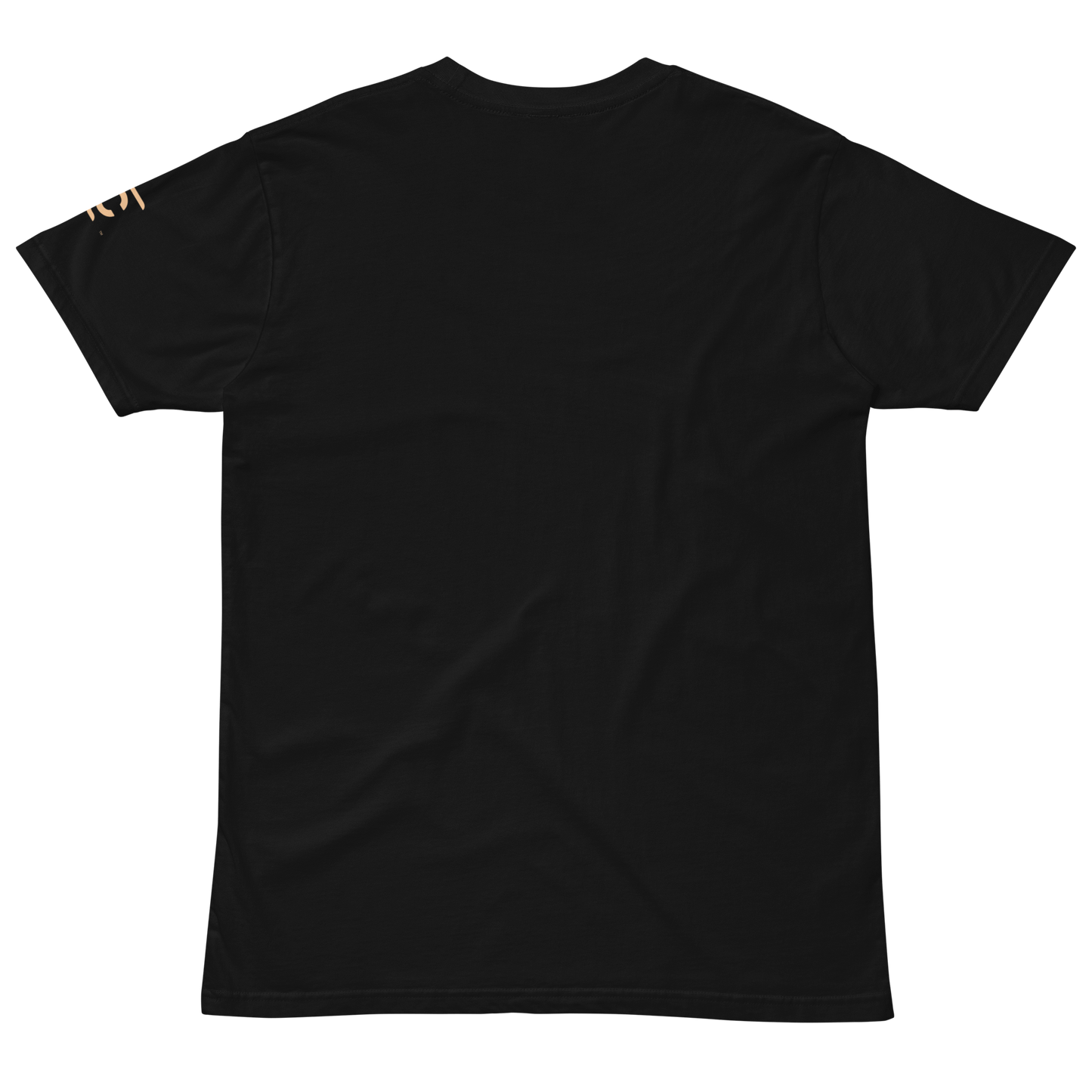camp chef t-shirt - back view